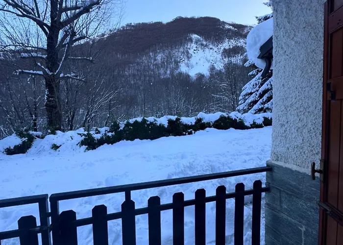 Limone In Apartment *